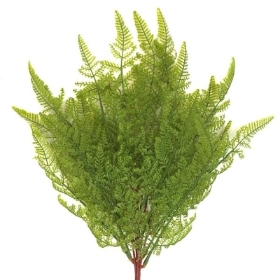 Green Hunters Fern 48cm