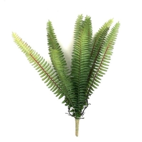 Green Forest Fern 30cm