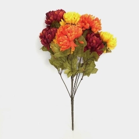 Mixed Autumn Chrysanthemum Bush 45cm