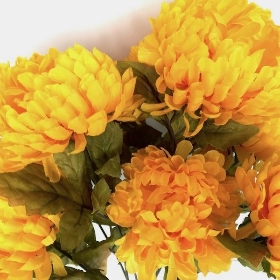 Yellow Autumn Chrysanthemum Bush 45cm