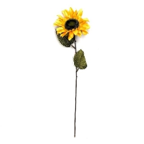 Sunflower 50cm