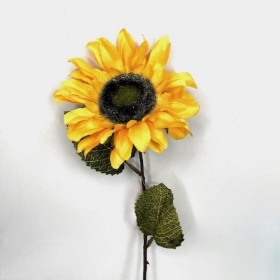 Sunflower 50cm