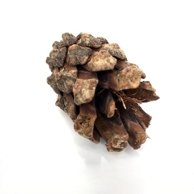 Mini Pinecones In Bag 350g