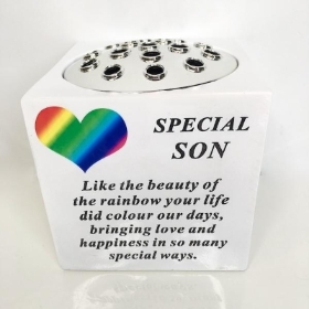 Special Son Rainbow Pot 15cm