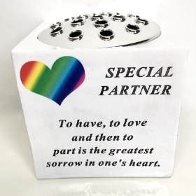 Special Partner Rainbow Pot 15cm