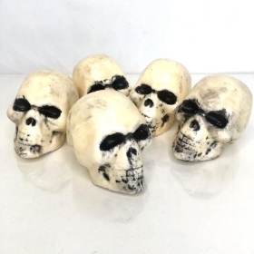 Skulls 7cm x 12