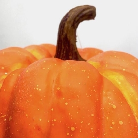 Orange Pumpkin 12.5cm