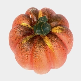 Appalachian Pumpkin 19cm