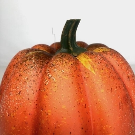 Appalachian Pumpkin 19cm