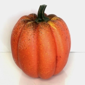 Appalachian Pumpkin 19cm