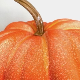 Orange Pumpkin 25cm