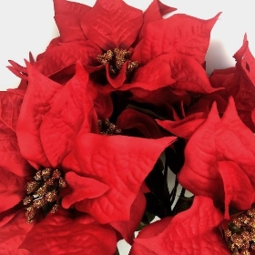 Red Deluxe Poinsettia Bush 55cm