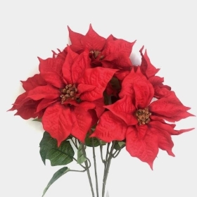 Red Deluxe Poinsettia Bush 55cm