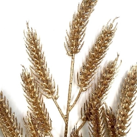 Gold Glittered Wheat 70cm