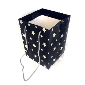 Navy & Silver Star Bag x 10