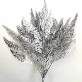 Silver Sparkle Fern Bush 40cm