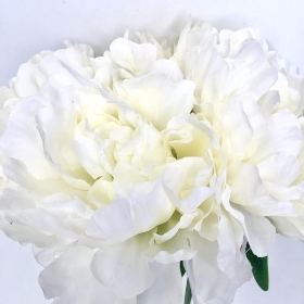 Ivory Peony Bundle 32cm