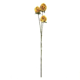 Yellow Scabious Seed head 71cm