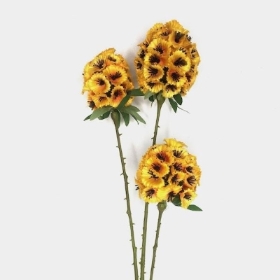 Yellow Scabious Seed head 71cm