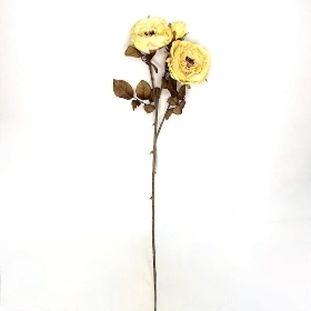 Yellow Dry Garden Rose 59cm