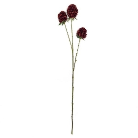 Red Scabious Seed Head 71cm