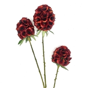 Red Scabious Seed Head 71cm