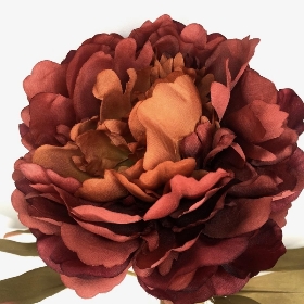 Deep Brown Peony 78cm