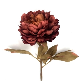 Deep Brown Peony 78cm