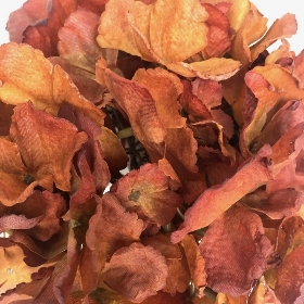 Burnt Orange Dry Hydrangea 80cm