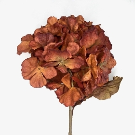 Burnt Orange Dry Hydrangea 80cm