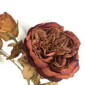 Burnt Orange Dry Garden Rose 59cm