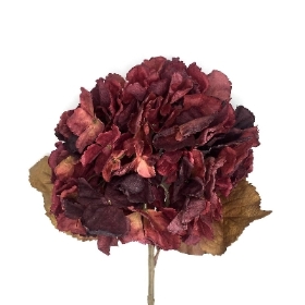 Burgundy Dry Hydrangea 80cm