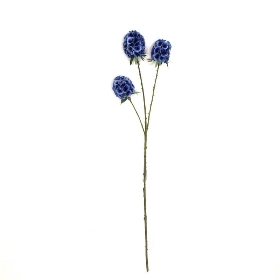 Blue Scabious Seed Head 71cm