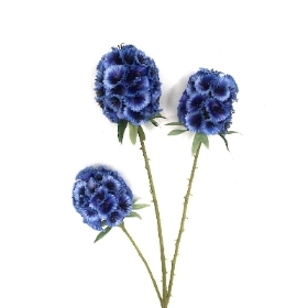 Blue Scabious Seed Head 71cm