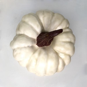 Cream Pumpkin 13cm