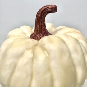 Cream Pumpkin 13cm