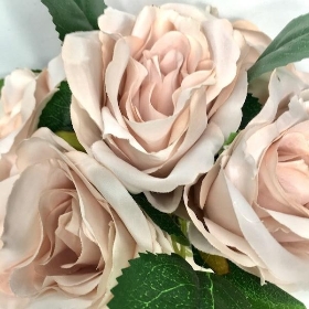 Nude Rose Bundle 30cm