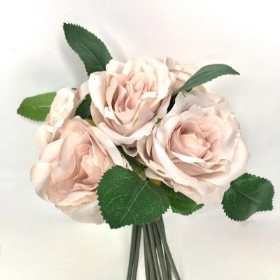 Nude Rose Bundle 30cm