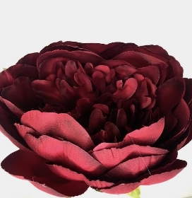 Deep Red Peony 56cm