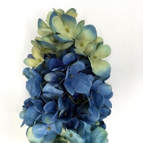 Blue Panicled Hydrangea 75cm