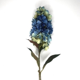 Blue Panicled Hydrangea 75cm