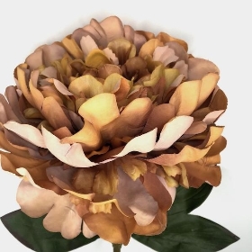 Caramel Autumn Peony 62cm