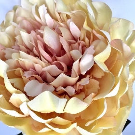 Cream Autumn Peony 62cm