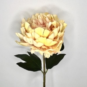 Cream Autumn Peony 62cm