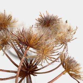 Frosted Cow Parsley 98cm