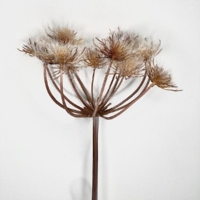 Frosted Cow Parsley 98cm