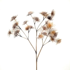 Frosted Allium Seedhead 100cm