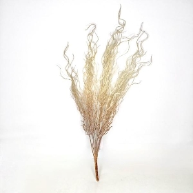 Ivory Feather Grass 62cm