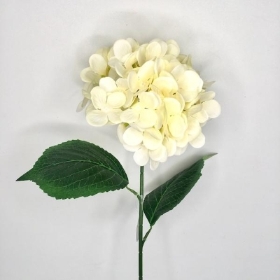 Cream Hydrangea 66cm