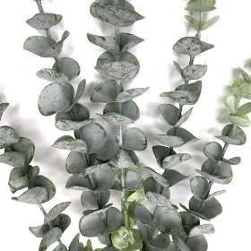 Grey Eucalyptus 77cm